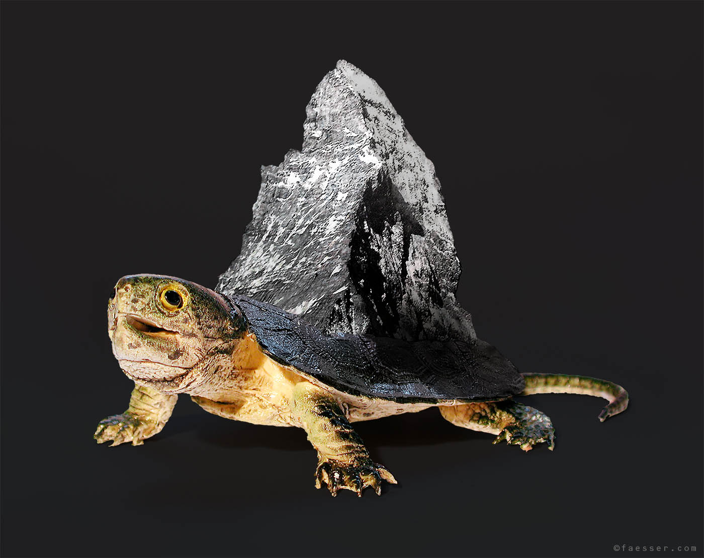 A 3D turtle with the top of the Matterhorn on its shell; artist Roland Faesser, sculptor and digital painter 2022