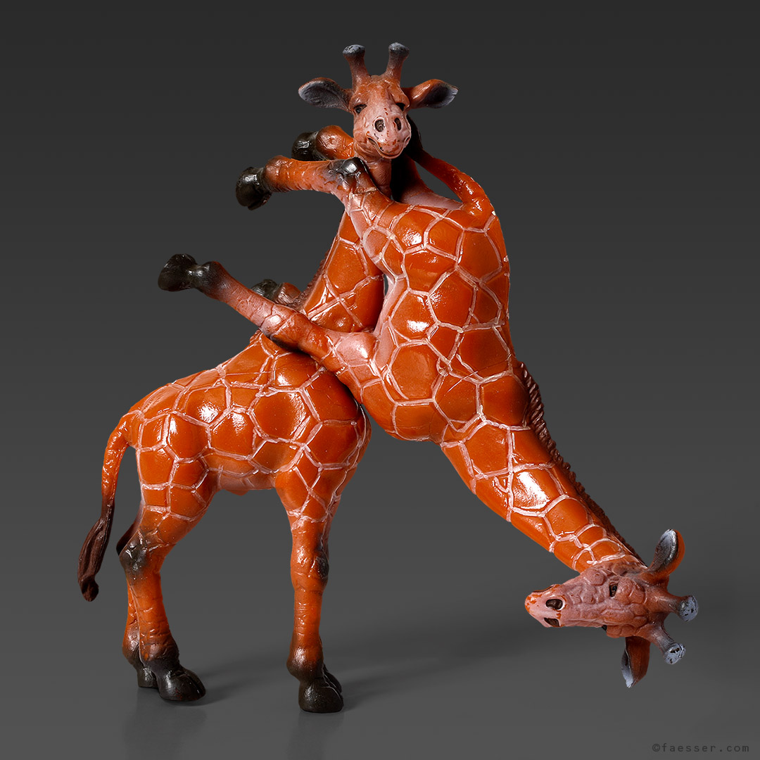 Acrobatic Acro Yoga exercise with two giraffes; works of art as figurative sculptures; artist Roland Faesser, sculptor and painter 2018